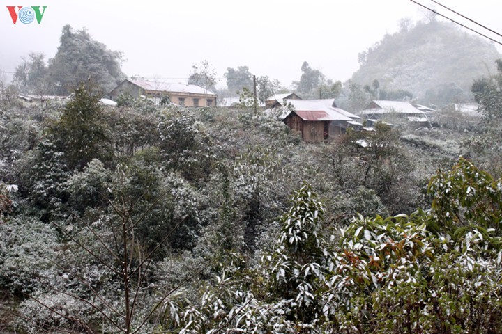 Le plateau de Sin Hô : un site paradisiaque du Nord-Ouest - ảnh 2